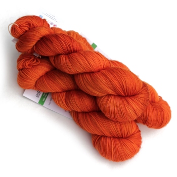 MIRELLA - pumpkin harvest